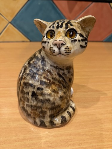 Winstanley size tabby kitten - winstanley,