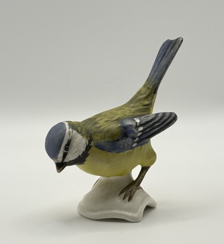 Goebel blue tit - goebel, bird