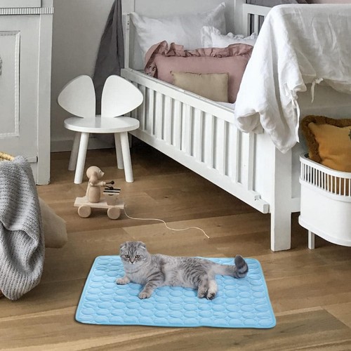 Summer heat relief pet - heat,