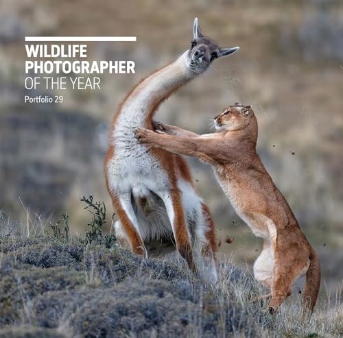 Wildlife photographer the - photographer, of