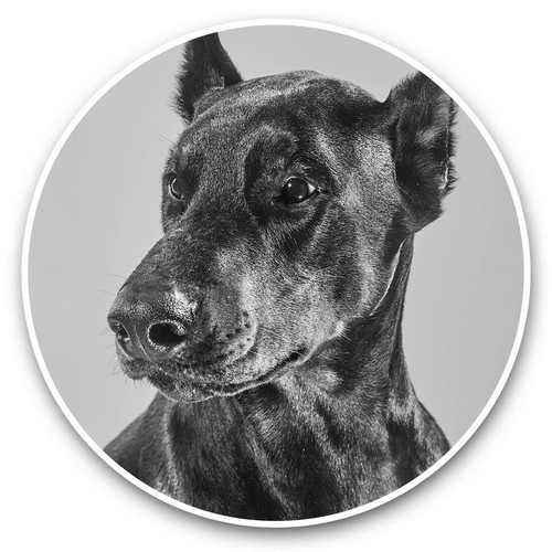 Vinyl stickers 5cm - 7.5cm, (bw)