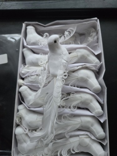 White doves small - doves, clip