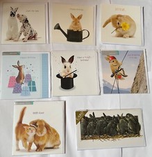 Bunny Rabbit birthday blank