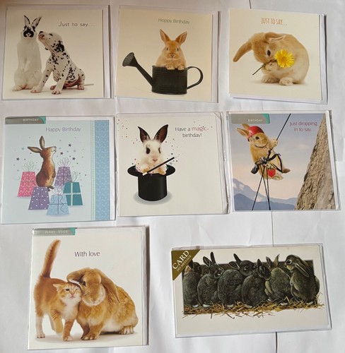 Bunny rabbit birthday blank - bunny,
