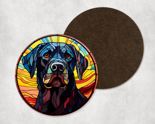Beautiful black labrador dog - black,