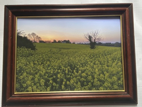 Fine art photography - art,