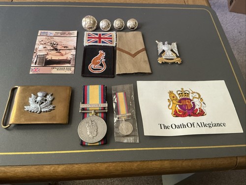 Gulf war medal with clasp - war,