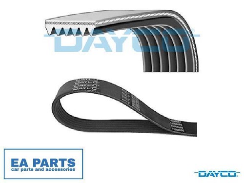 Ribbed belts for rover - v-ribbed,