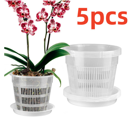 5pcs clear orchid pot - clear,
