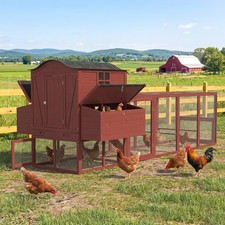 138in Extra Large Wooden