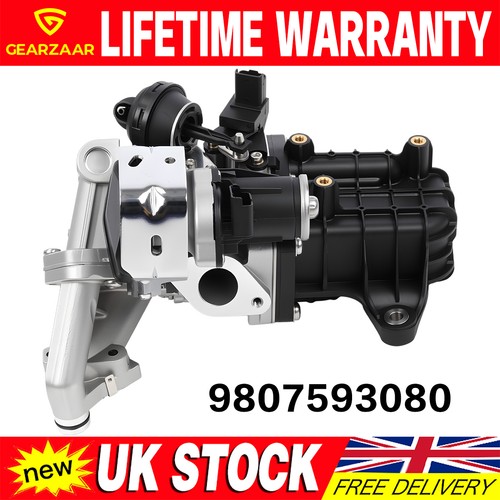 Egr valve cooler module for - egr,