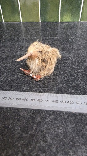 Vintage kiwi bird new zealand - vintage,