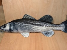 Gaby Sea Bass Fish Pillow Cushion - Giant 70cm