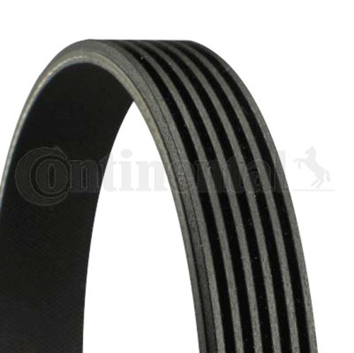 Ribbed belt contitech fits - v-ribbed,