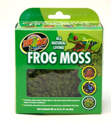 Zoo med frog moss completely - zoo,
