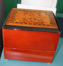 RAPPORT PERPETUA SINGLE WATCH