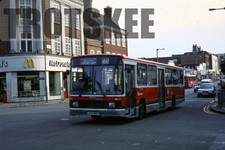 35mm Slide Selkent Dennis