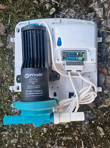 Used whale wireless sdp134tan - whale,