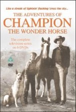 The adventures champion - champion,