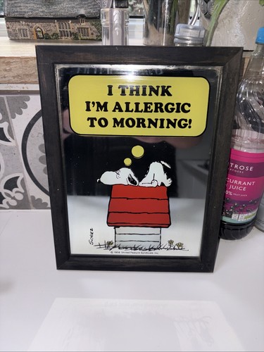 Vintage snoopy mirror - vintage,