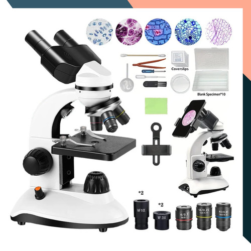 Binocular microscope 40x - microscope, 40x-1000x