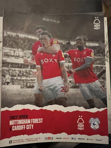 Nottingham forest home - nottingham,