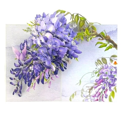 Purple visteria flowers pop - flowers,