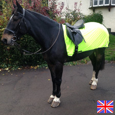 Ride On Exercise Rug Light