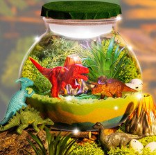 Dinosaur Night Light , Timing