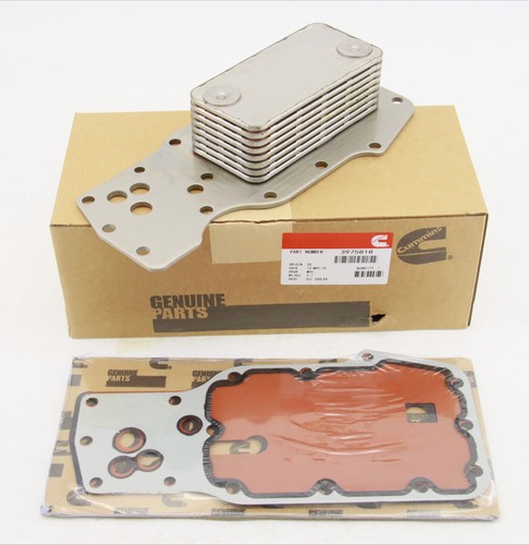 3975818 new oil - new,