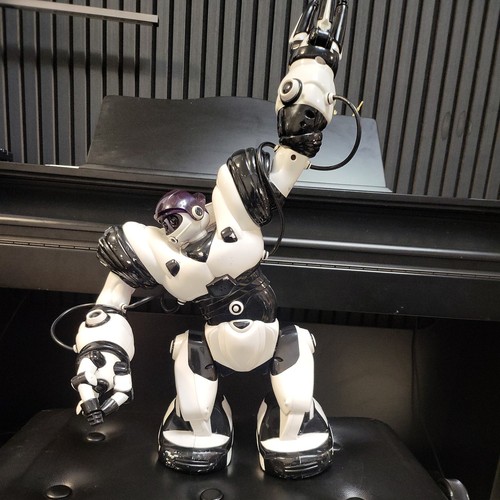 Wowwee 2004 robosapien inch - 2004,