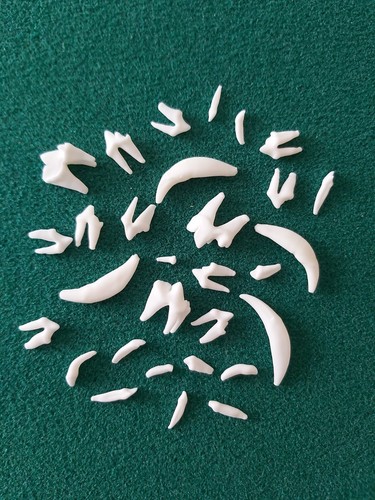 Assorted fox teeth gothic - 30,