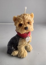 Yorkshire Terrier Yorkie Puppy