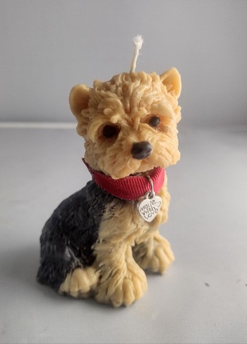 Yorkshire terrier yorkie - terrier,