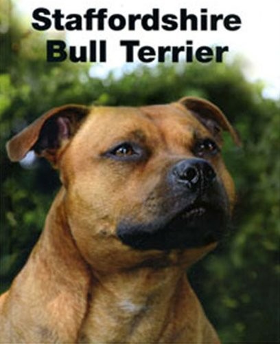 Staffordshire bull terrier - staffordshire,
