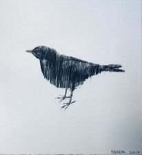 Charming Baker 1 of 1 Original Bird drawing  2017