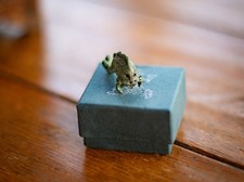 Vintage - Original Bronze