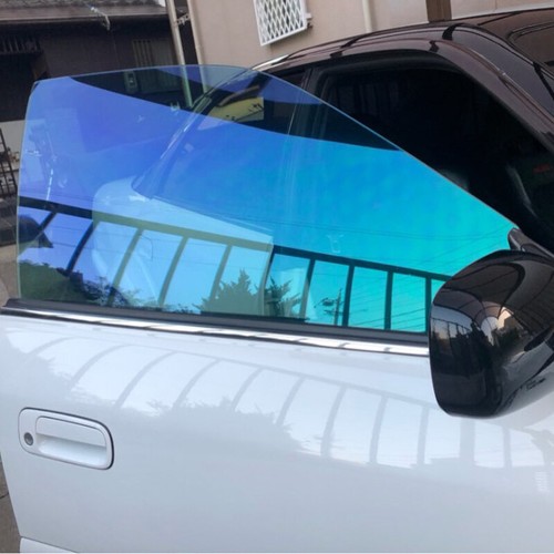 Chameleon light blue - chameleon,