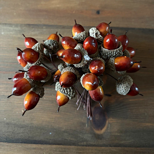 Gisele graham acorn - gisele,