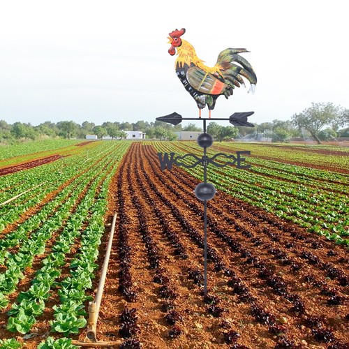 New iron rooster - new,