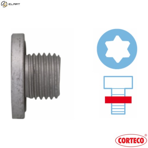 Screw plug oil sump - screw,