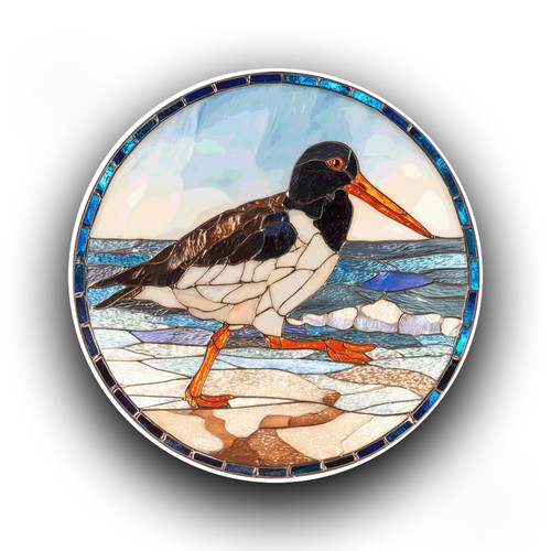 Oystercatcher bird beach - oystercatcher,
