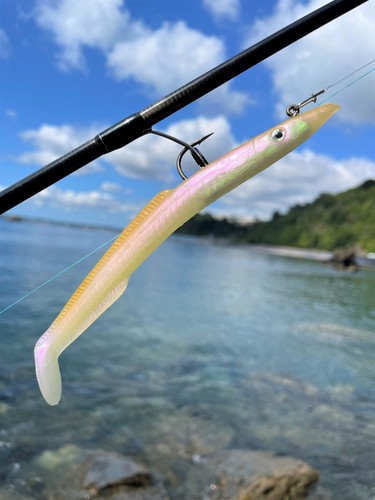 Sidewinder skerries eel - sidewinder,