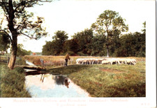 Gelderland Netherlands Van