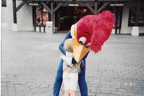 Vintage found woody woodpecker - woody,