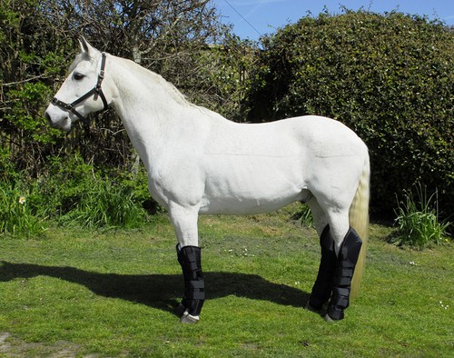 002 clearance cob size - size,