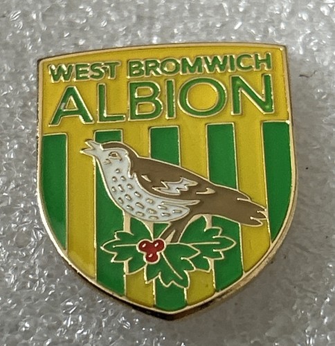 West bromwich albion supporter - bromwich,