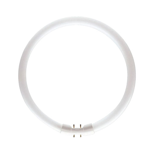 Circular fluorescent lamp - fluorescent,