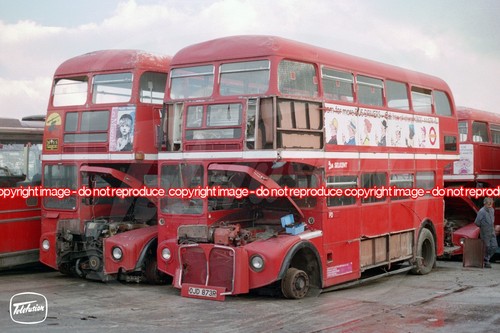 Bus photo selkent london - bus, ex