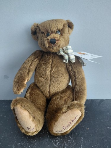 Canterbury bears limited - canterbury,